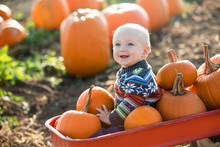 Little Boy Pumpkin