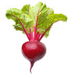 Beetroot  isolated