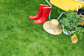 Wall Mural - Gardening tools.