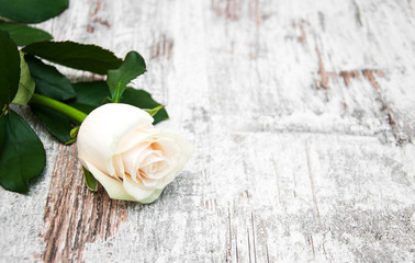 Canvas Print - Rose on a wooden table