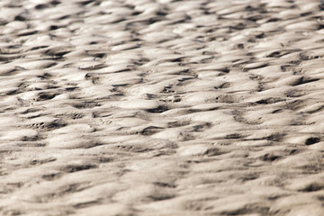 Sticker - background of sand on the shore