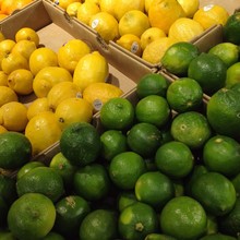 Lemons And Limes Citrus Fruit In A Grocery Store Supermarket Fresh Produce Section.