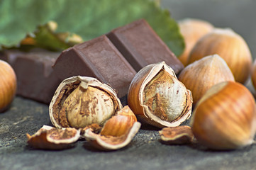 Fresh brown hazelnut on wooden table whit chocolate.