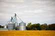 Farm silos storage towers in yellow crops