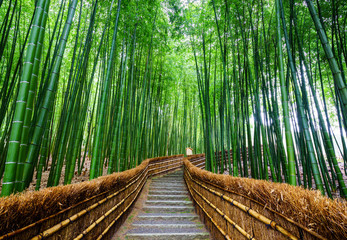  Ścieżka do bambusowego lasu, Arashiyama, Kioto, Japonia