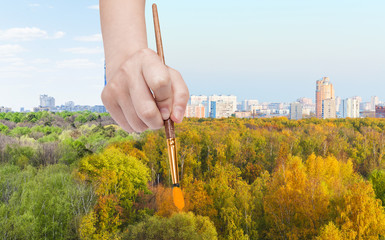 Poster - paintbrush paints yellow autumn forest from green