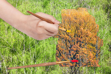 Canvas Print - paintbrush paints yellow autumn oak in green woods