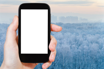 Poster - smartphone with cut out screen and frozen forest