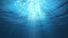 Underwater Sun Rays In The Ocean (Loop)