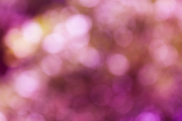 Wall Mural - sweet pink colourful bokeh light for background