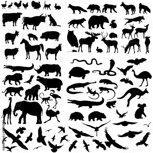 Photo Vector Big Set of Animals Silhouettes