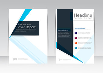 Wall Mural - Abstract design vector template for brochure flyer in A4 size