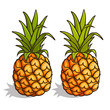 Pineapple 001