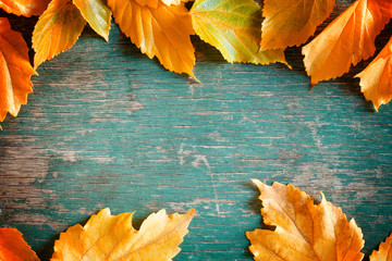 Wall Mural - Autumn Leaves Banner