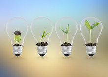 Plant Growing In Lightbulb , Ecology Ideas Growth Concept