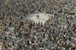 © Photobank - organized a group of people