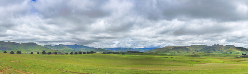 green panorama