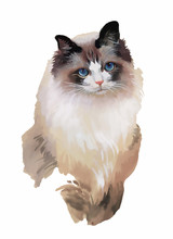 Watercolor Portrait Of Cat Illustration Vector