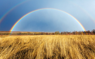  Beautiful Full Rainbow above Farm Field at Spring