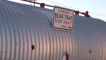 Polar Bears Who Misbehave Are Caught In A Steel Bear Trap In Churchill, Manitoba, Canada.
