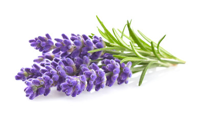 SLIKA NA PLATNU - Lavanda - page 1
