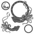 Set of black and white illustrations with squid on a white background 