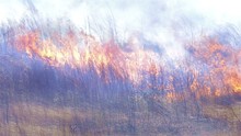 Wide View Of A Prescribed Grass Burn On A Powerline Corridor Through Moody Forest Natural Area Managed By The Nature Conservancy Near Baxley, Georgia.