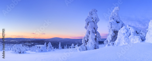 Sunset over frozen trees on a mountain, Levi, Finnish Lapland Poster Mural XXL