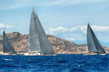 group yacht sailing in regatta