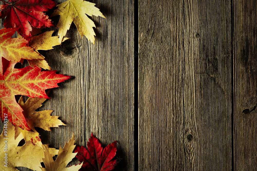Autumn maple leaves over wooden background - obrazy, fototapety, plakaty 