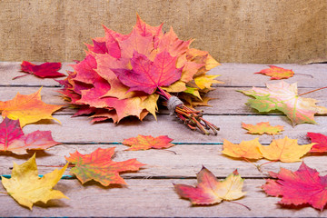 Wall Mural - bouquet from maple leaves