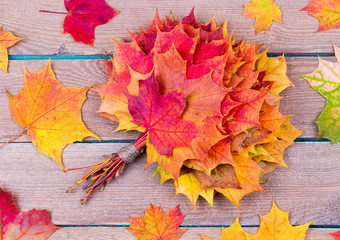 Wall Mural - bouquet from maple leaves