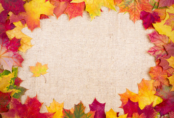 Wall Mural - autumn maple leaves background