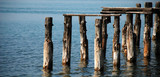 Fototapeta Pomosty - Wooden pier