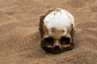 Human skull in sand
