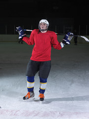 Wall Mural - hockey player portrait