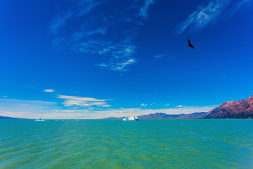 Wall Mural - Excursion to white-blue glacier