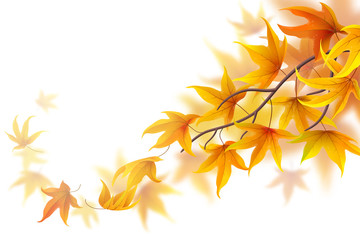 Wall Mural - autumn branch with falling maple leaves on white background