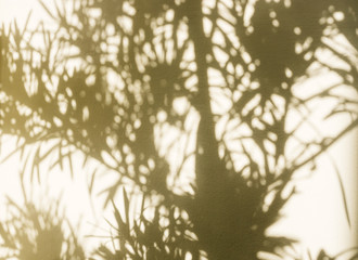 Aufkleber - Palm leaf tree shadow on wall background