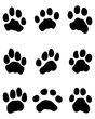 Black print of tiger paw, vector