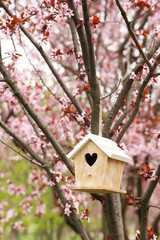 Wall Mural - Nesting box hanging on the tree