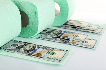 Wall Mural - Light green rolls of toilet paper and dollar banknotes on light background