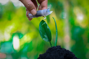 Hand watering with garbage malfunctioning fluorescent lamp.(Natural and waste technology)