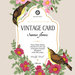 Vector vintage floral card. Two birds in the wild rose bushes.