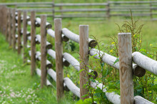 Rural Wooden Hedge Closeup, Part Of Farm Cattle-pen