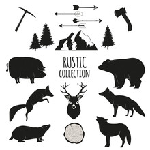 Hand Drawn Wilderness Animals And Objects Set