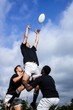 Rugby players jumping for line out