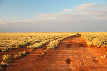 Canvas Print - Across the Nullarbor Plain