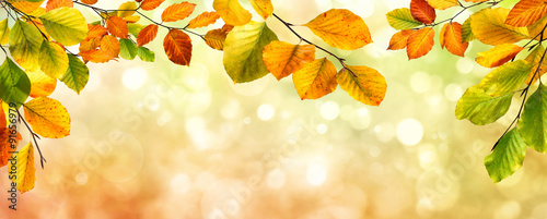 Autumn leaves border on bokeh background