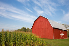 Red Barn With Corn And Dramatic Sky
